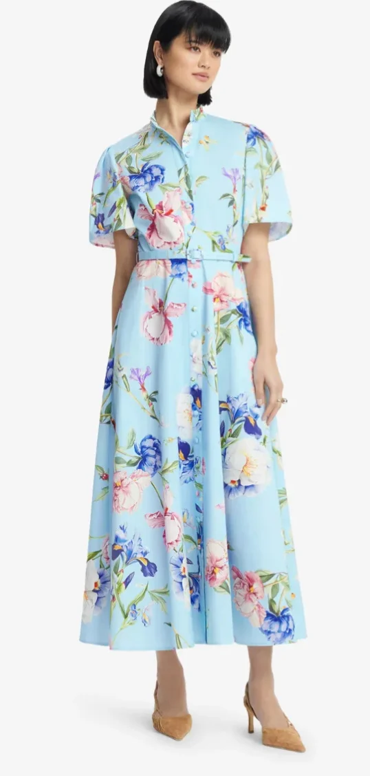Bianca Short Sleeve Midi Dress (Garden Print in Baby Blue)